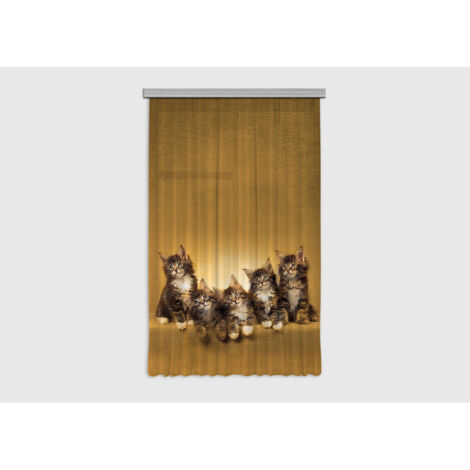 Cats, rideau imprimé 5 chatons marrons 140x245 cm, 1 pièce
