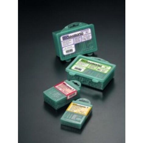 Cavatorta 250 gr de clous tA te plate fer 2x25 mm pointes
