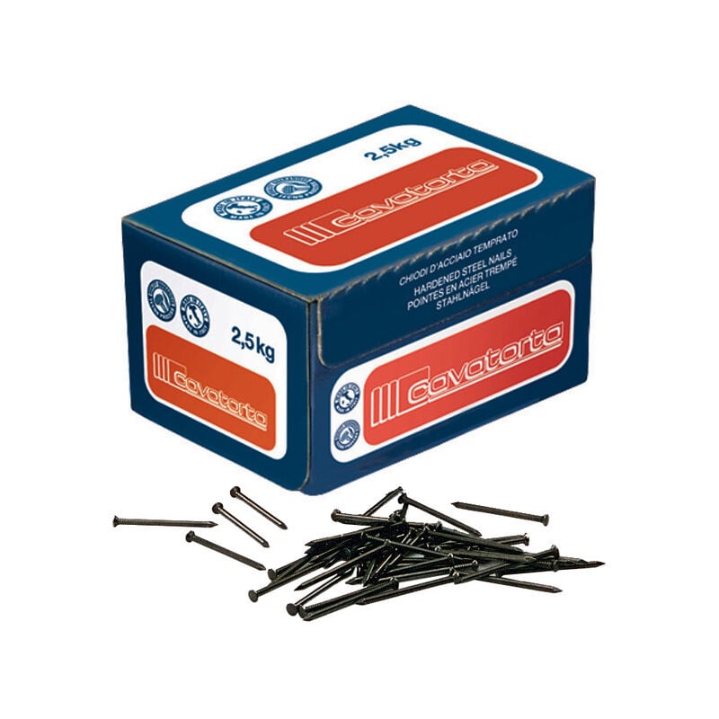 Sc chiodi acciaio cm.6 (gr.200)