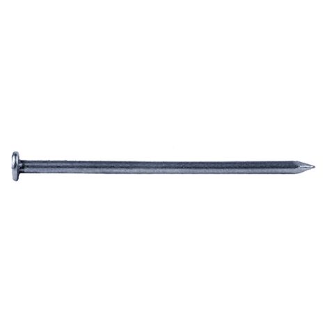 Cavatorta Paquet de 5 kg de clous a' tete plate 20x100 en acier pour le secteur de la construction artisanale et agricole