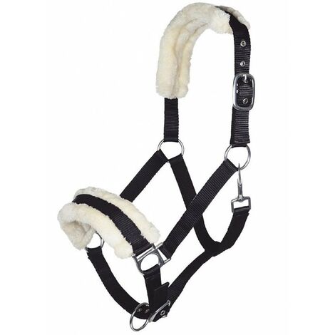 Cavezza da equitazione con imbottitura in peluche e raccordi argentati modello Bischofshofen: Pony, Grigio chiaro