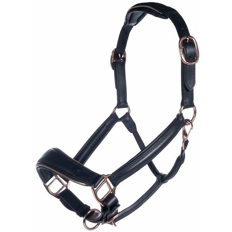 Cavezza da equitazione in cuoio con nasalina e frontalino imbottiti modello Rosegold: pony, nero 9100