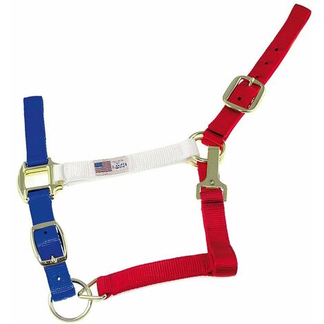 Cavezza in nylon colori USA con fibbie ottonate e doppia regolazione: L, Bandiera america
