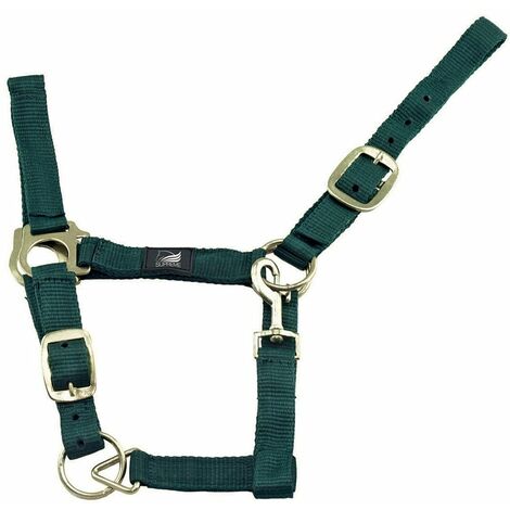 Cavezza in nylon doppia regolazione e moschettone: PONY, Bordeaux