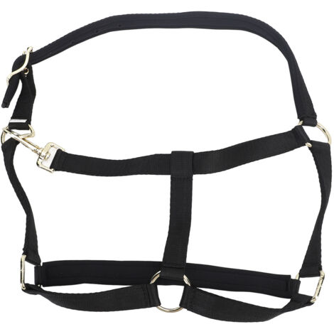 Cavezza per cavalli in fibra di poliestere, regolabile e comoda, con fibbia in metallo e supporto per il dressage.