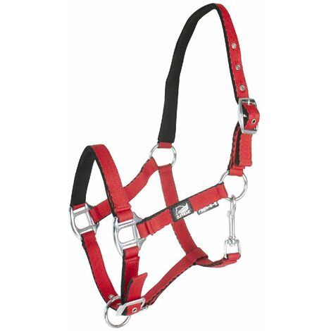 Cavezza puledro soft touch con doppia regolazione: 000 mini mini mini, Turchese
