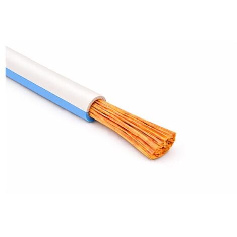 Cavo Filo Unipolare FLRY-B ISO 6722 Classe B Sez. 1,00 Bianco/Azzurro