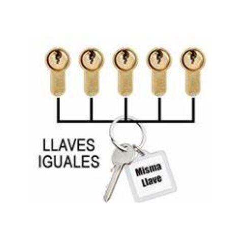 CAYS LLAVES IGUALES SEGUN MUESTRA