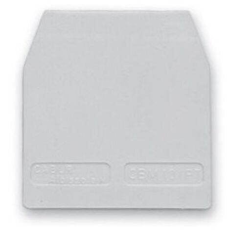 Cb50/Pt/Gr Piastrina Terminale