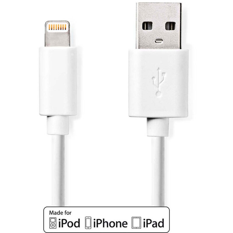 Câble de Charge et de Synchronisation Apple Lightning - usb a Mâle 1,0 m Blanc