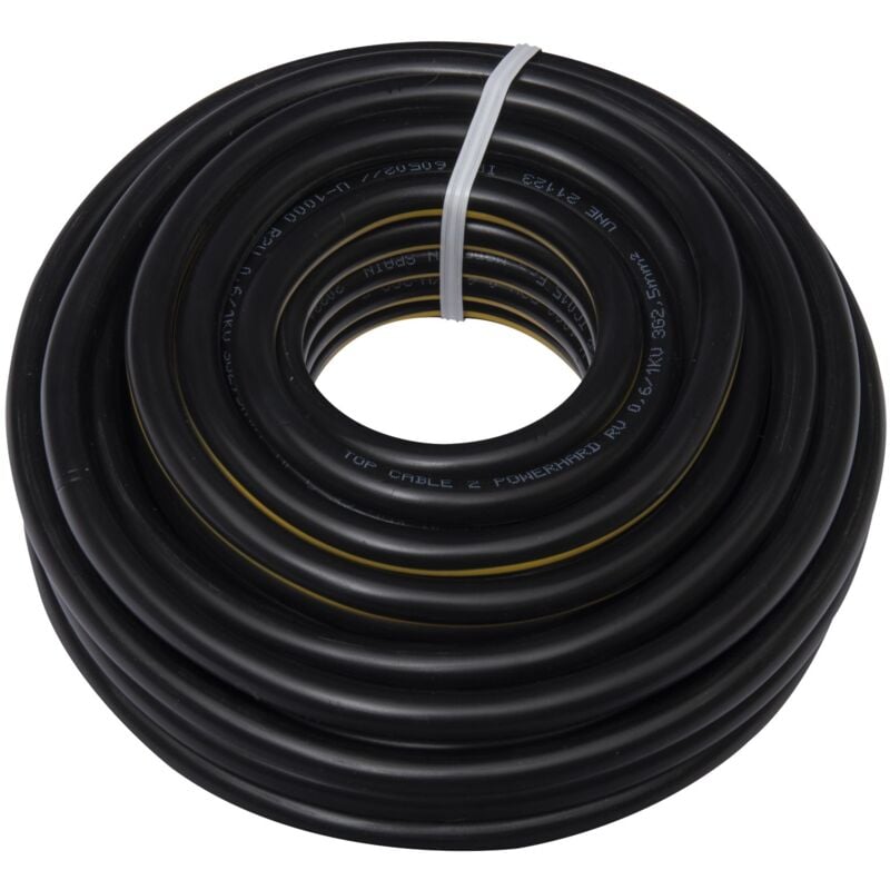 Zenitech - Câble d'alimentation électrique U-1000 R2V 3G2,5mm² noir - 10m