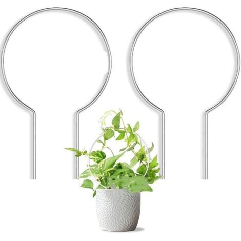 CCYKXA 2 Pack Acrylic Climbing Frames for Climbing Plants and Vines