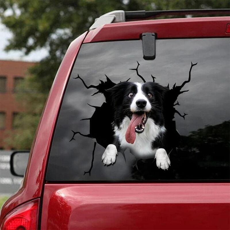 Ccykxa - Adhesivo 3D de Border Collie para coche, suv, ventana, decoración personalizada, también apto para nevera, inodoro y portátil