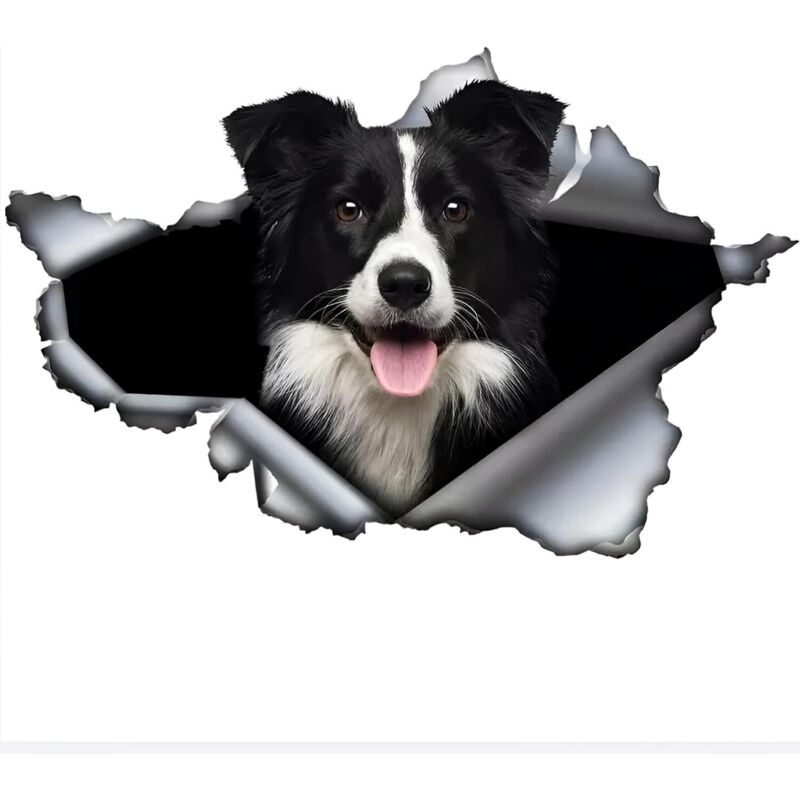 Adhesivo para coche (25 cm, 9,8 pulgadas), diseño de Border Collie, impermeable, 3D, metal roto - Ccykxa