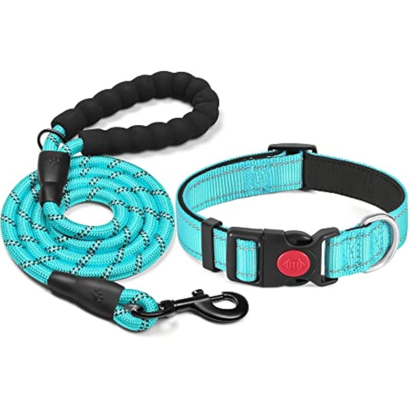 Ccykxa - Collier pour Chien réfléchissant rembourré en néoprène Souple et Respirant, réglable en Nylon pour Petits, Moyens et grands Chiens(noir +