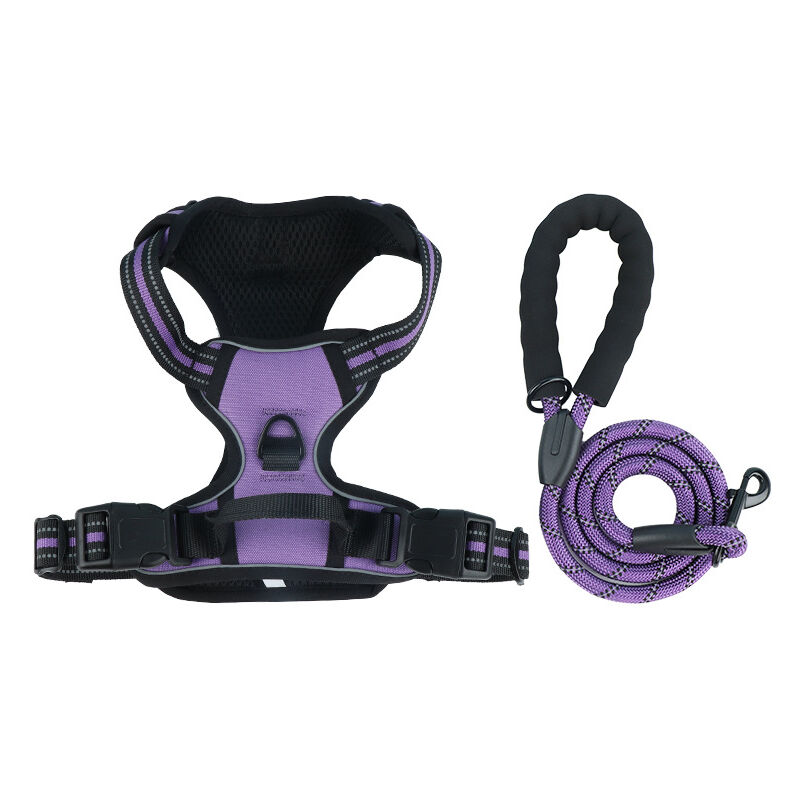 Harnais anti-traction pour chien avec laisse incluse, respirant, ajustement réglable, très résistant, réfléchissant, idéal pour les chiens de petite,