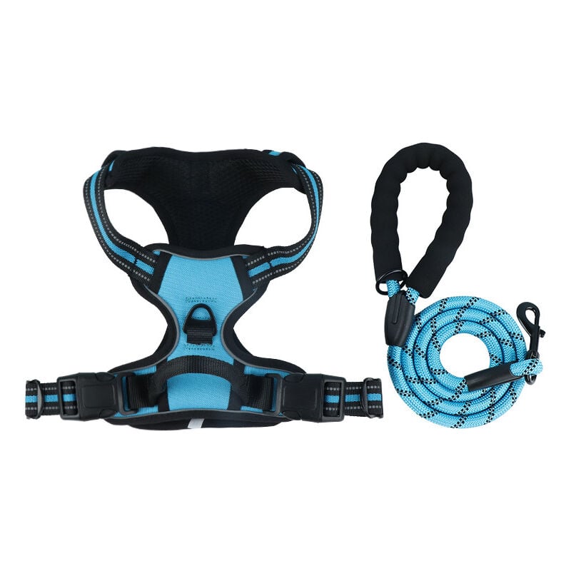 Harnais Anti Traction pour Chien, Réfléchissant, avec Laisse pour Chien, pour Entraînement en Plein Air (Bleu, m) - Ccykxa