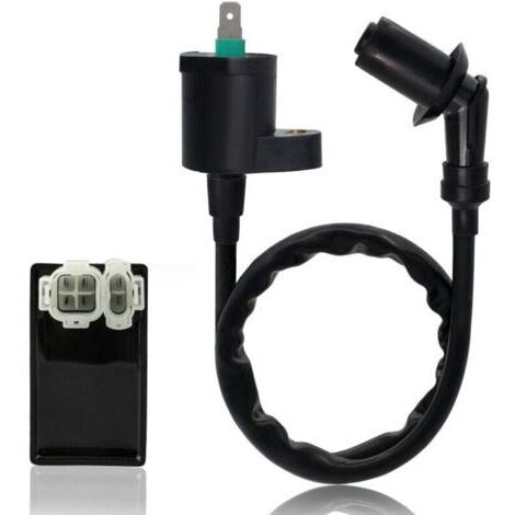 CDI-Unità di bobina di accensione per ATV/ATC/XR/XL/CRF con cilindrata da 50cc, 70cc, 125cc,
250cc e 300cc