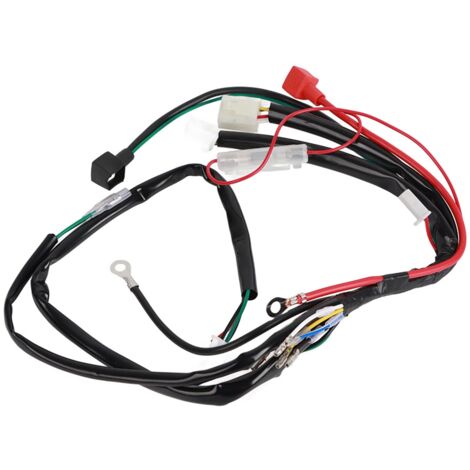 CDI, Zündschlüssel, Anlasseranschluss, Motorstarterkabelbaum für Pitbike, ATV, Quad mit Batterie, universell passend.