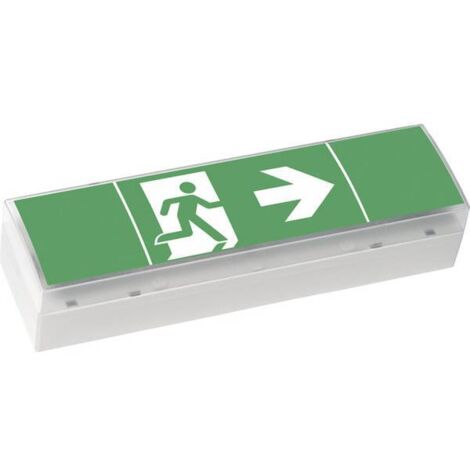 CEAG NOTL. LED-EINZELBATTERIE-LEUCHTE M SV EURO4 LED 3H(SET) CEAG NOTLICHTSYSTEME 40071354775