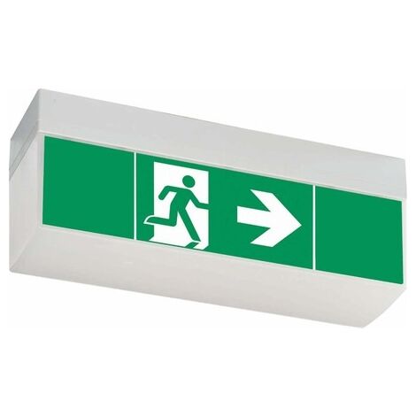 CEAG NOTL. LED-EINZELBATTERIE-LEUCHTE M SV EURO4L LED 3H SET CEAG NOTLICHTSYSTEME 40071354776