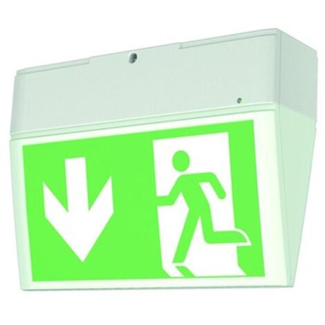 Ceag Notlichtsysteme Einzelbatterie-Leuchte EURO X LED
