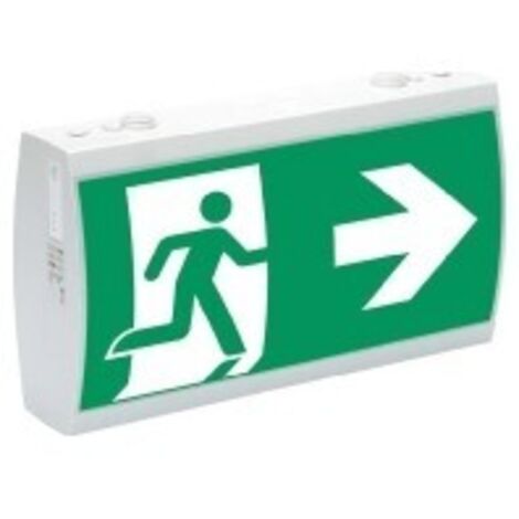 Ceag Notlichtsysteme LED-Rettungszeichenleuchte RAL7035 IP41 SV EURO 2-3/D LED