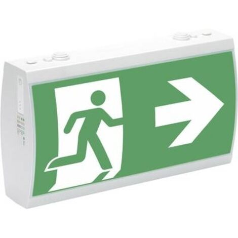 Ceag Notlichtsysteme LED-Rettungszeichenleuchte SV EURO 1-3/D LED