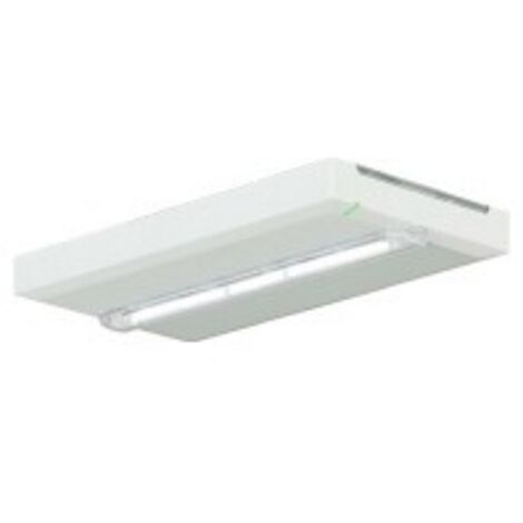 Ceag Notlichtsysteme Rettungszeichenleuchte FT2SE400ATL18