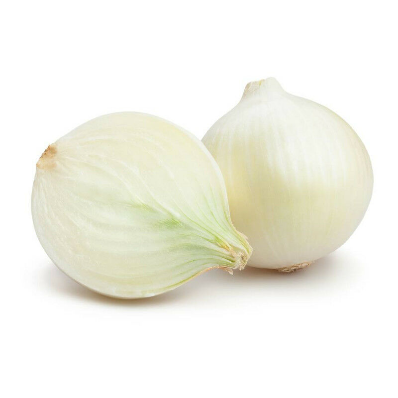 

Cebolla Ecologica Blanca 50 Uds