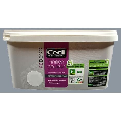 CECIL PE DECO Finition Couleur Gris acier Mat 2,5 L