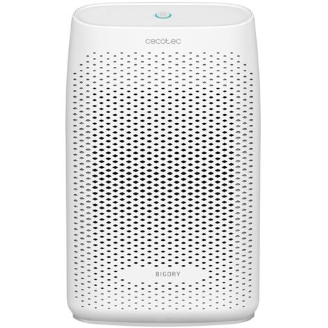 Cecotec BigDry 2000 Essential 0,7 L 35 dB 23 W Blanco