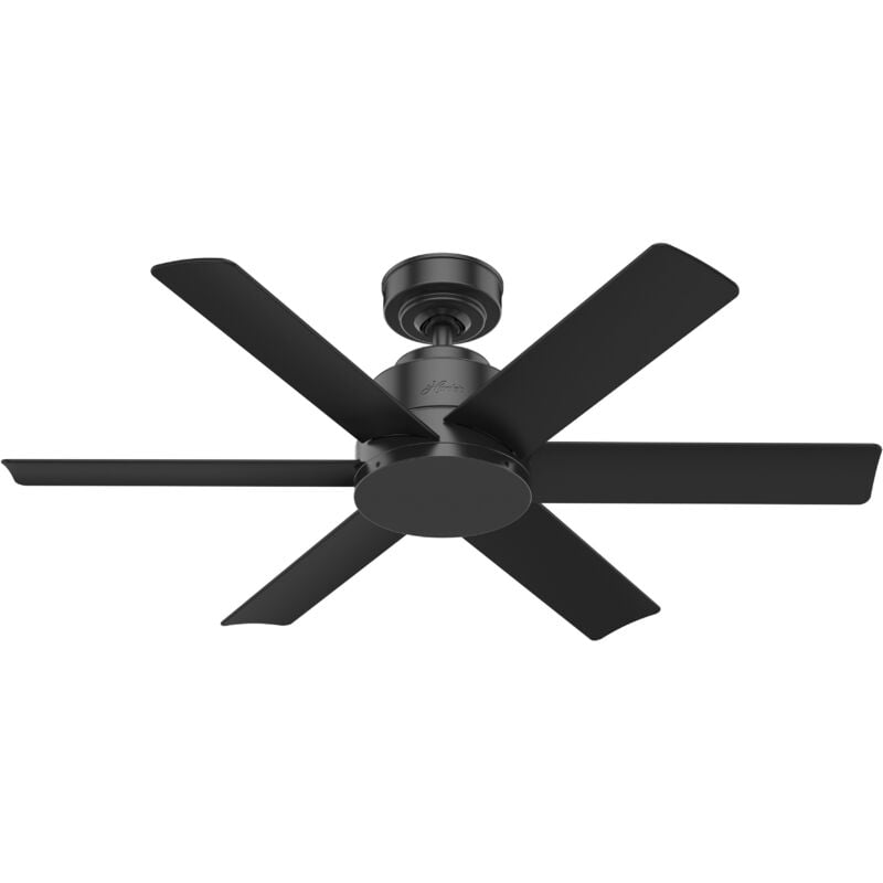 Ceiling Fan Kennicott Black with Wall Control