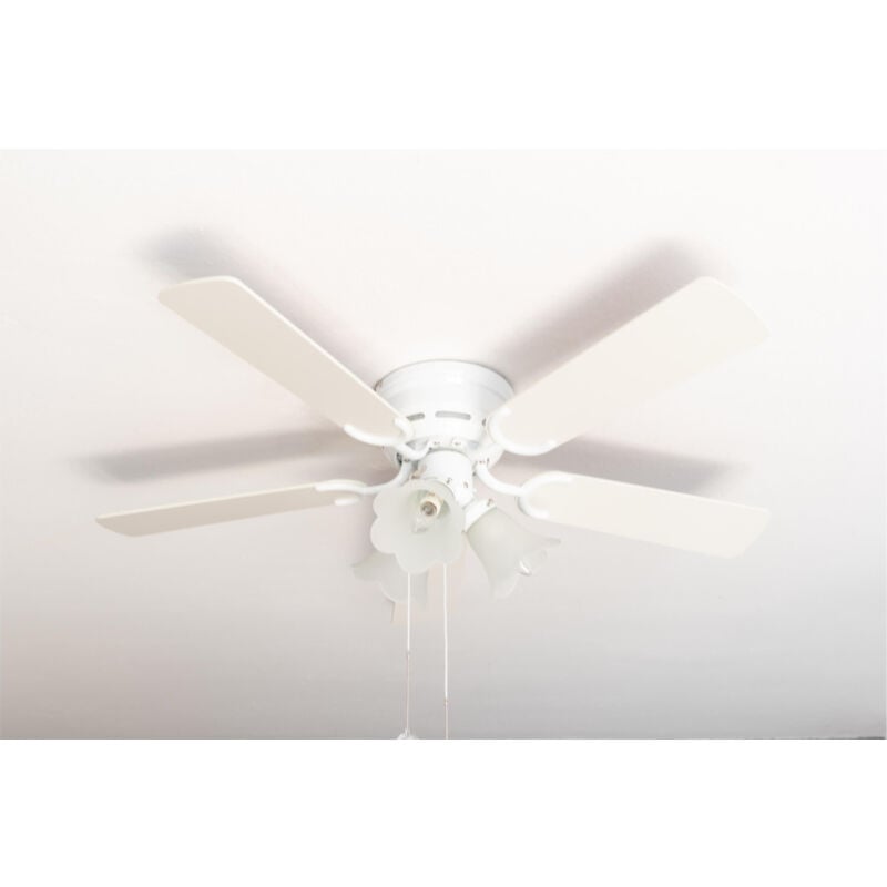 Pepeo - Ceiling fan Kisa Deluxe wh White / Maple with lights