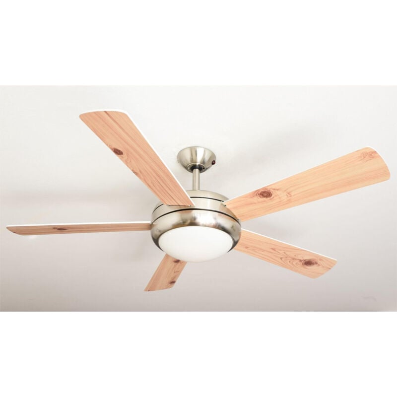 Ceiling Fan Ursa Brushed Nickel wh-pi with Light