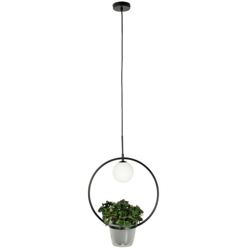 Lindby - Ceiling Light Orna dimmable (modern) in Black made of Metal for e.g. Living Room & Dining Room (1 light source, G9) from black, opal