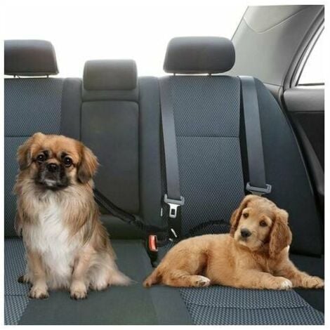 Acheter Ceinture de sécurité réglable pour chien et chat, ceinture de sécurité  pour véhicule pour animaux de compagnie, laisse pour chiens, collier de  Traction de voyage, harnais pour chien, Clip de plomb