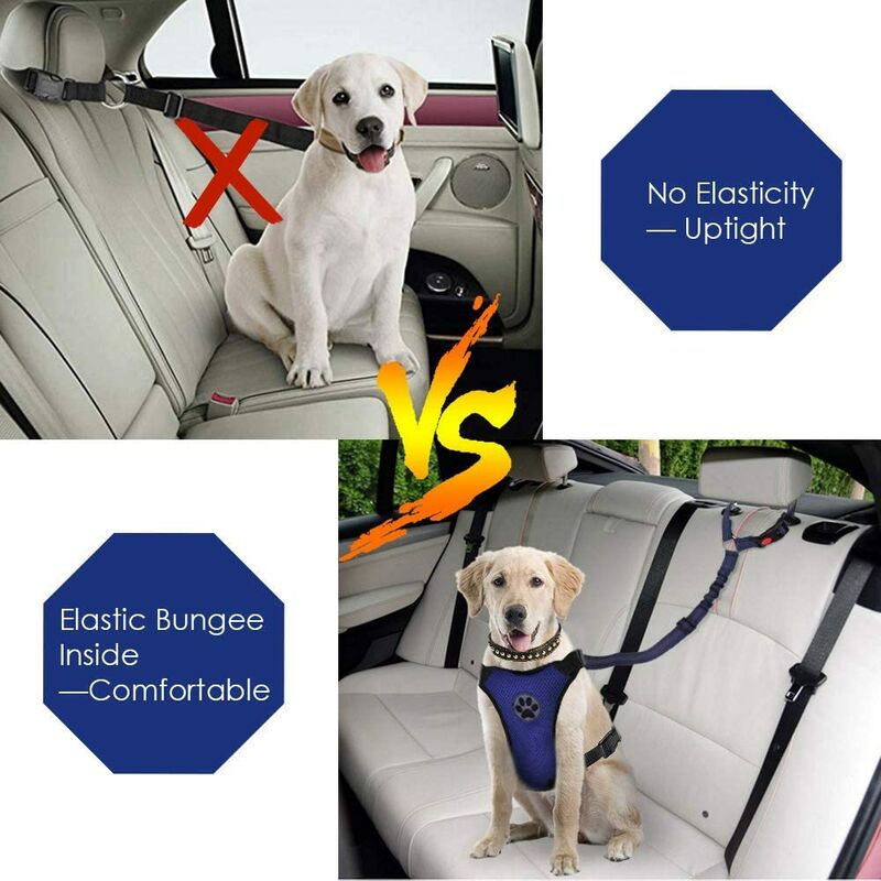 Ceinture de sécurité pour chien, 2 pièces de ceinture de sécurité pour voiture pour animaux de compagnie appuie-tête ceinture de sécurité réglable