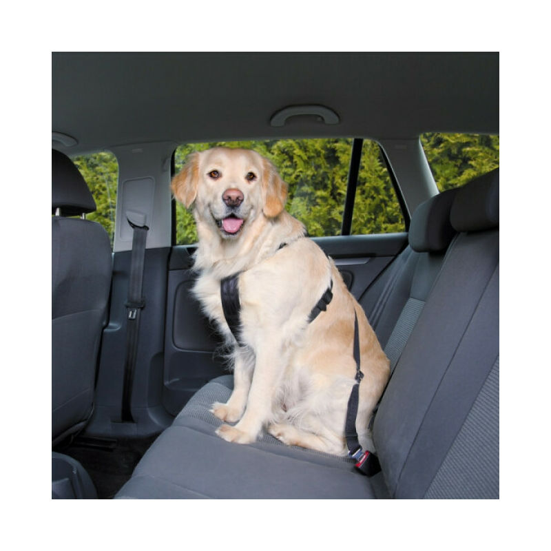 Ceinture de sécurité Friends on tour pour chiens Taille L Longueur 70/90 cm (Ex : Labrador)