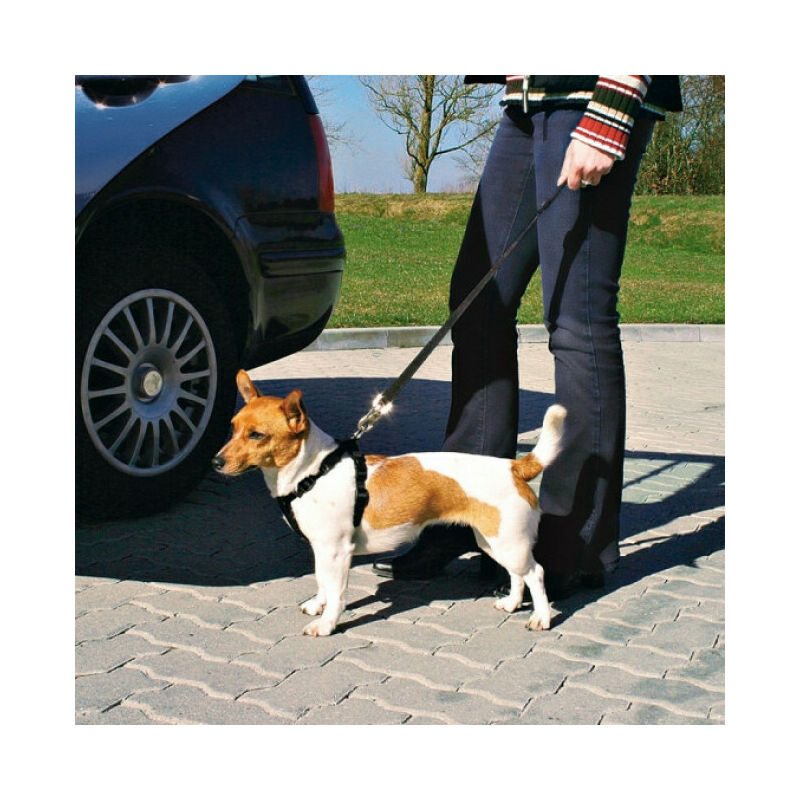 Ceinture de sécurité Friends on tour pour chiens Taille M Longueur 50/70 cm (Ex : Border Collie)