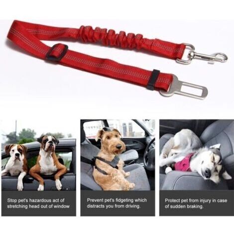 Ceinture de sécurité pour animal - Non spécifié - Réglable - Rouge - Nylon - 72 cm