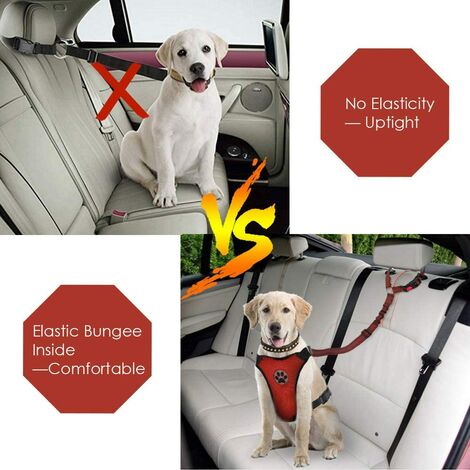 Ceinture de sécurité pour chien, 2 pièces de ceinture de sécurité pour voiture pour animaux de compagnie appuie-tête ceinture de sécurité réglable pour chiot ceinture de sécurité élastique réfléchissa