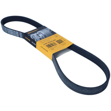 CEINTURE MULTI-NERVURES CONTITECH 6PK1019ELAST
