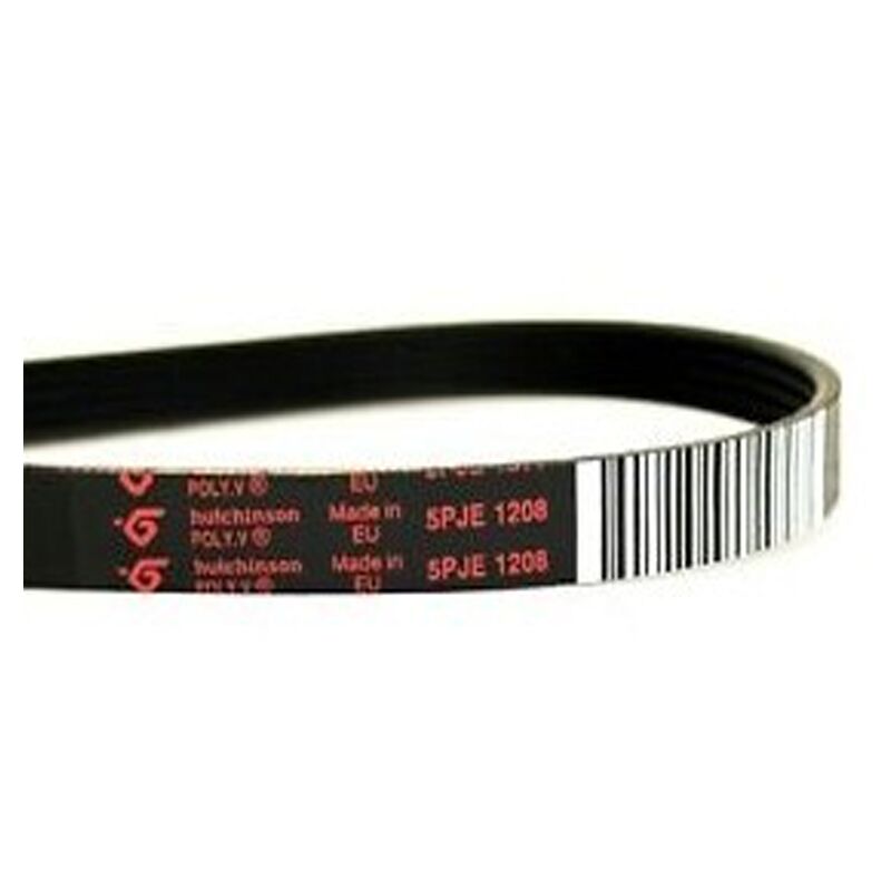 Reporshop - InDESIT 5PJE 1208 C00141664 ceinturation de lave