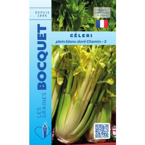 Céleri plein blanc doré chemin-3 - 1,5g