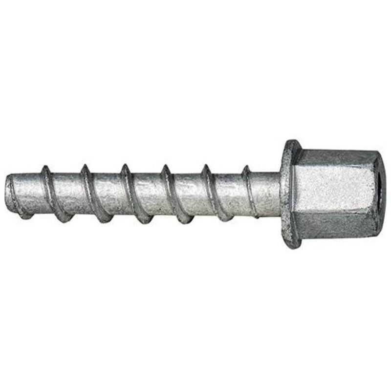 Vis à béton Celo bts h 6-35 M10 Filetage intérieur ZnAl (Par 100)