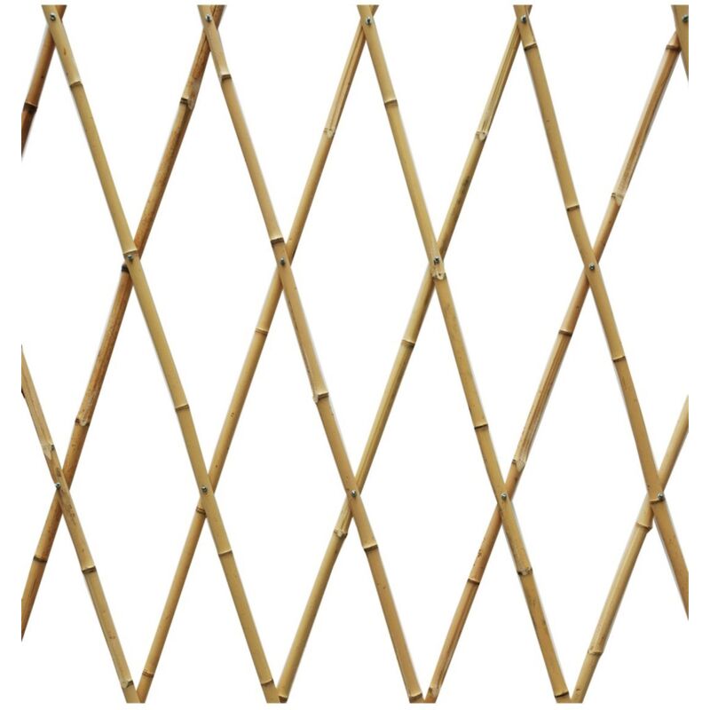 

Celosia Extensible Bambu - 90 X 240 cm