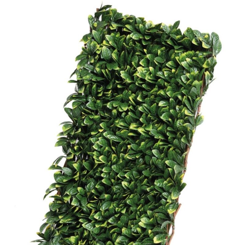 

Celosía Mimbre Natural - Hojas de Laurel - Faura