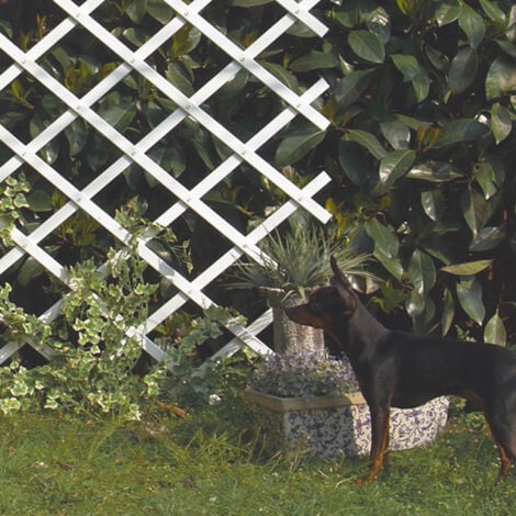 CELLOPLAST CELOSIA EXTENSIBLE PVC TRELLIFLEX BLANCO NORTENE 1X3 M