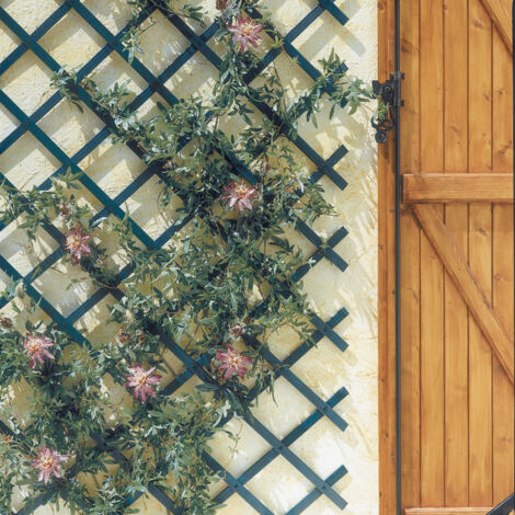 CELOSÍA EXTENSIBLE PVC TRELLIFLEX VERDE NORTENE 1X3 M